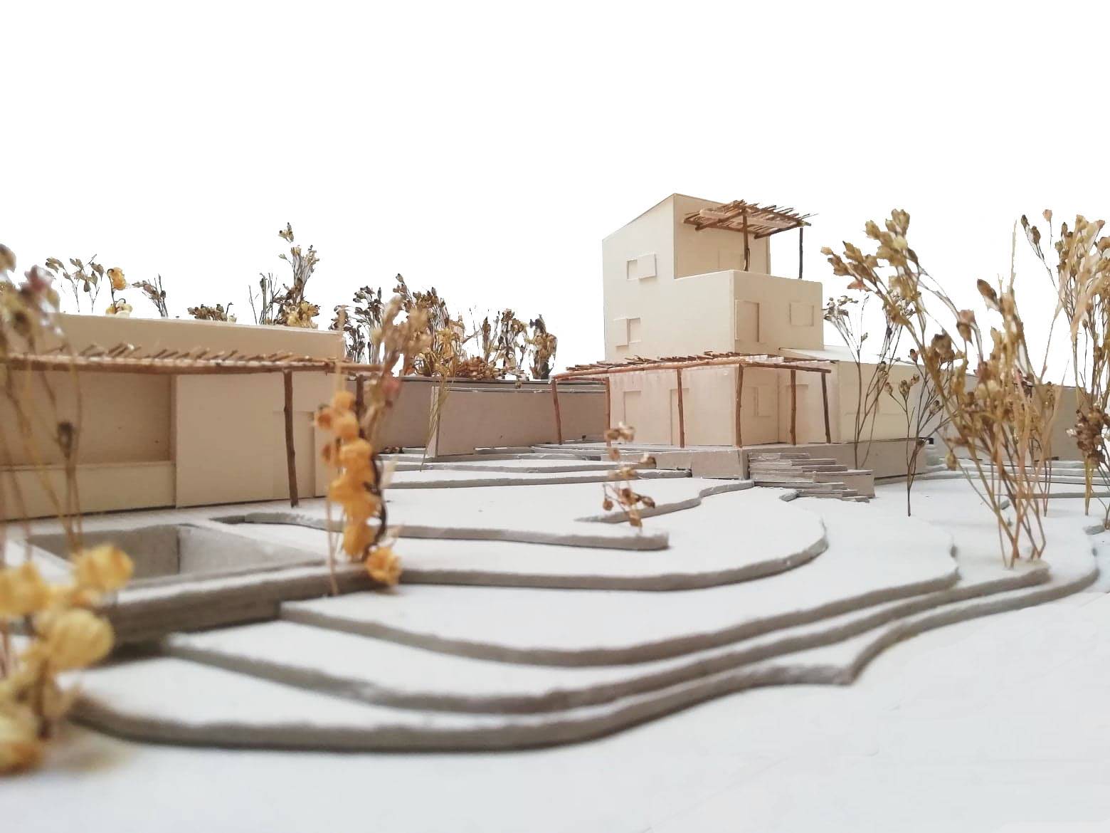 maison de ville, piscine et dépendances - Rodde Aragües architectes