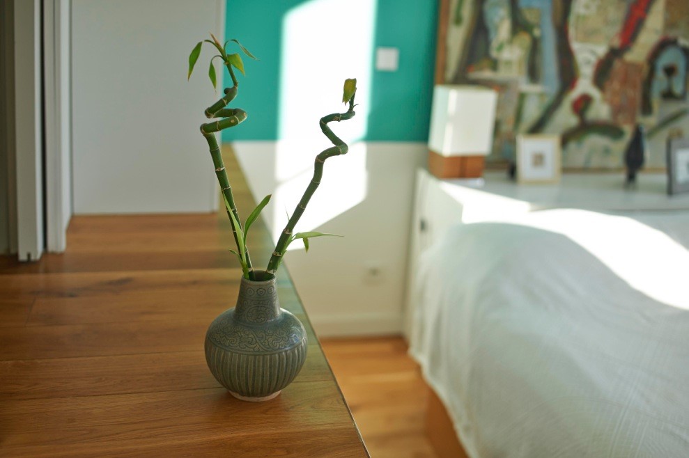 réhabilitation immeuble de pierre à Bordeaux